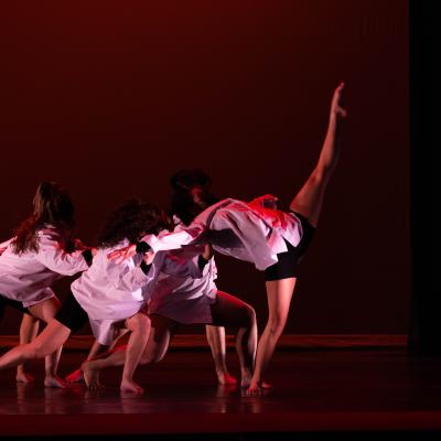 Salem Dance Ensemble stage photo