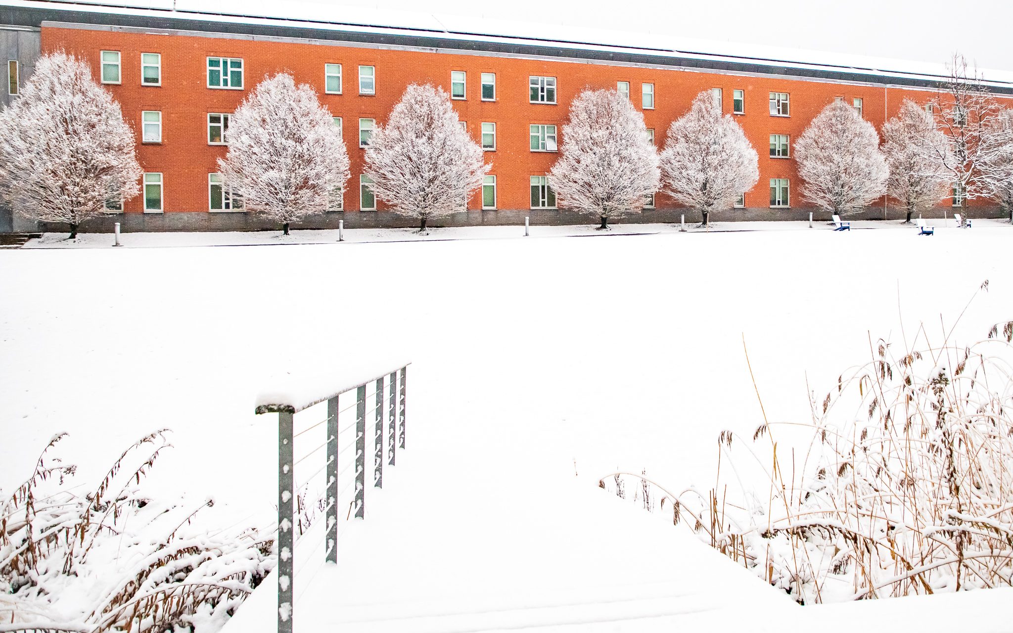 Salem State University Salem State University