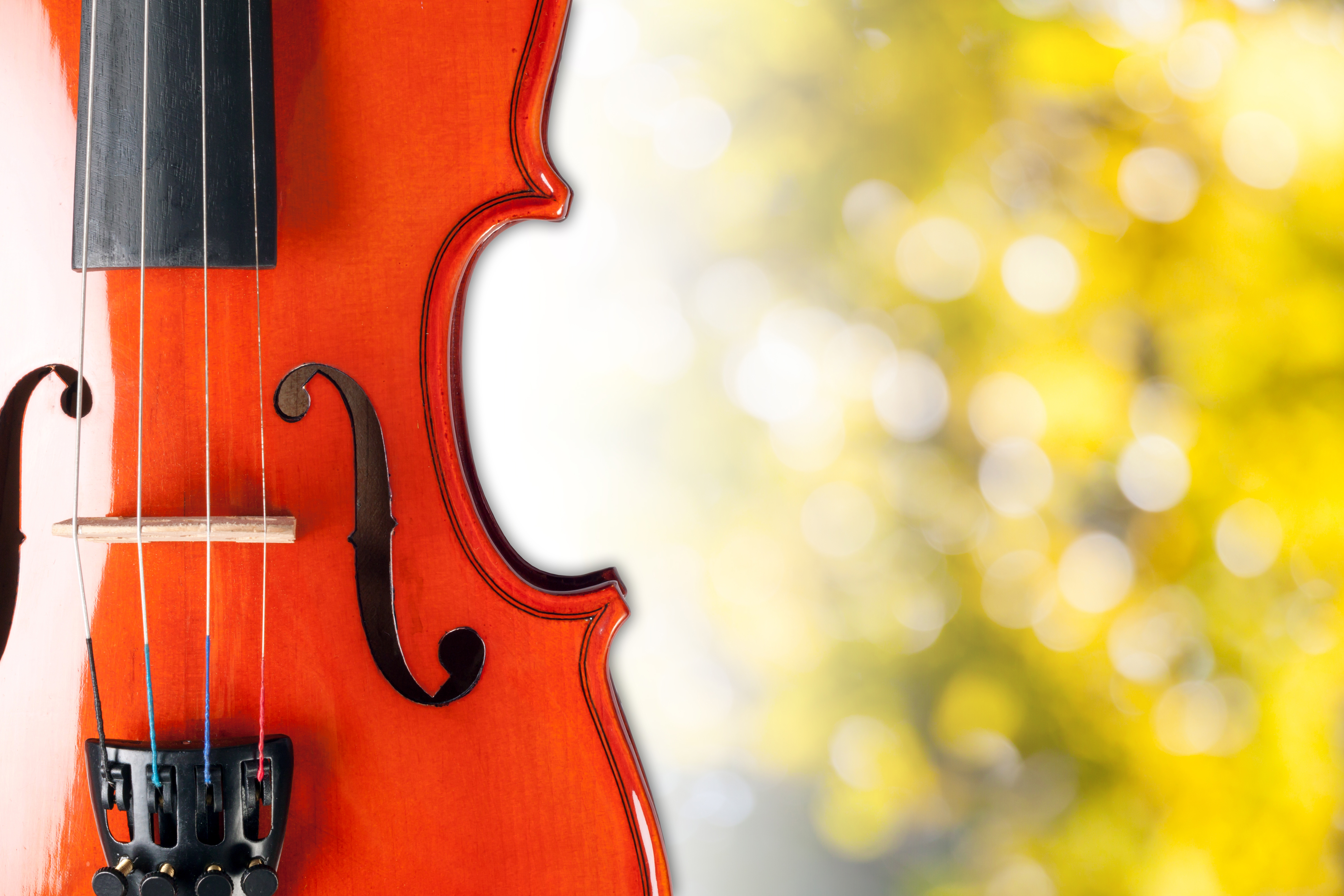 Violin in front of greenery