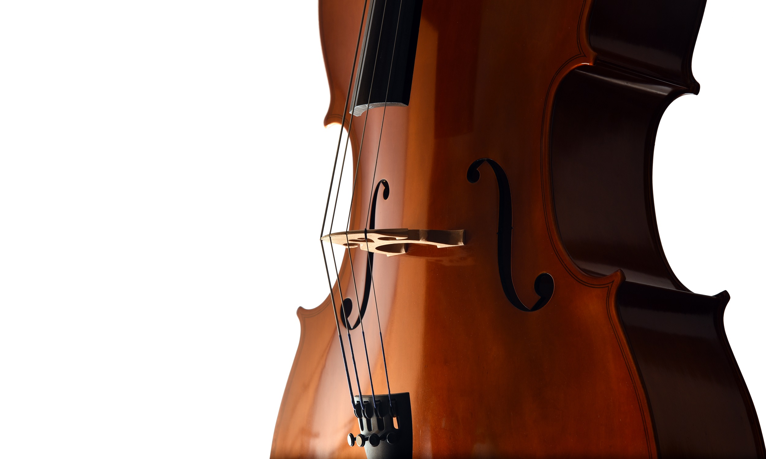 Cello on  a white background