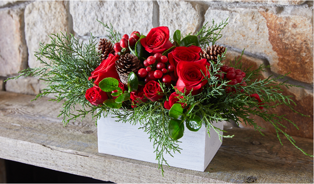 Red flowers in a white box