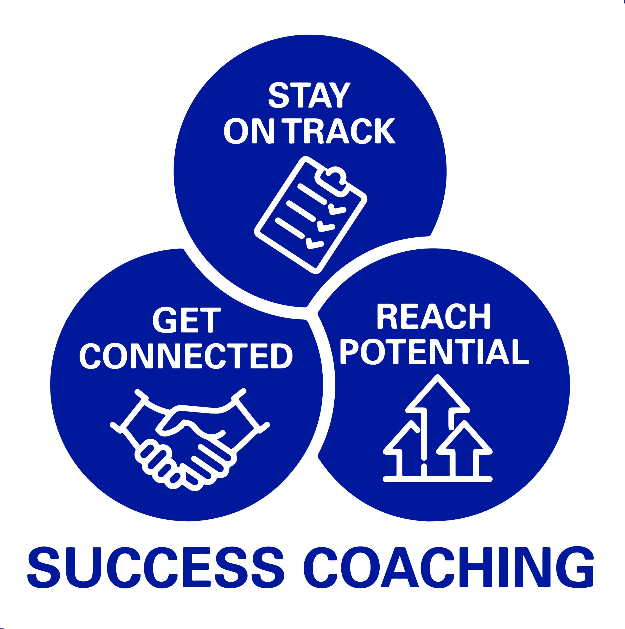 Success Coaching