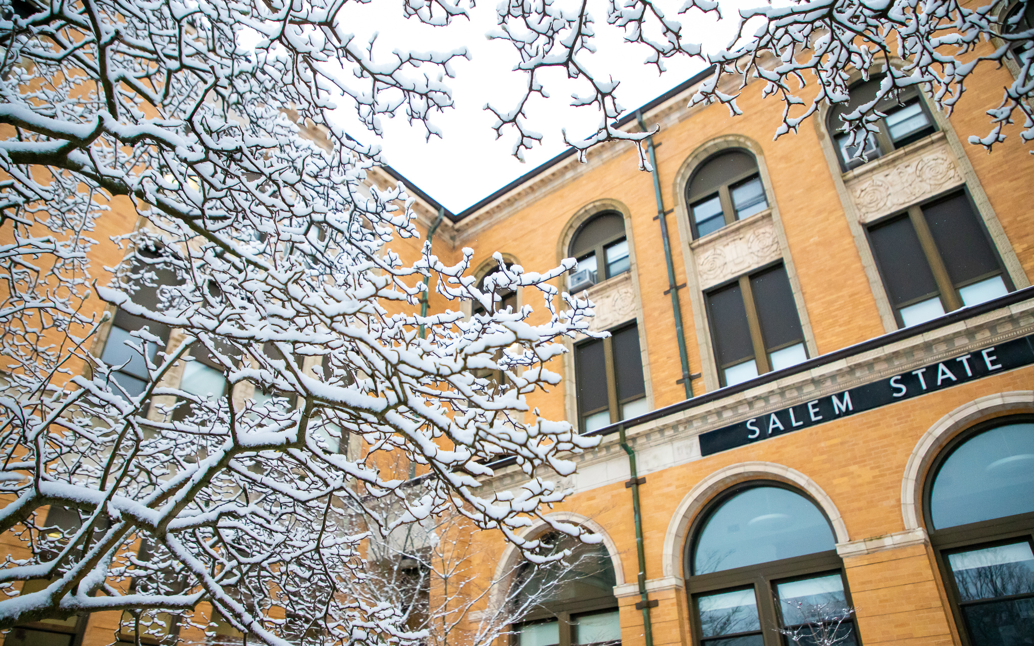 A corner of the Sullivan building exterior through snowy tree branches