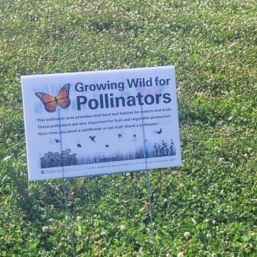 Lawn sign in a low mow area