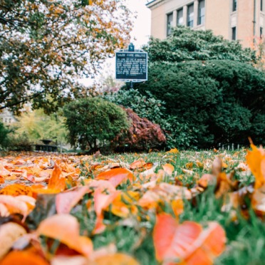 Leaves in front of the Salem State University Sullivan Building