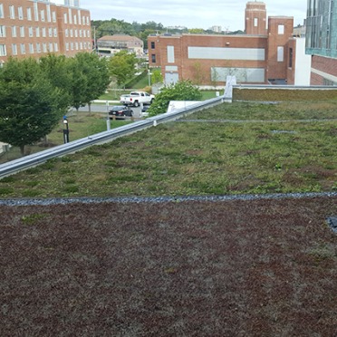 Green roof of Marsh Hall