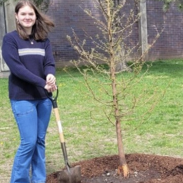 Student Planting Tree