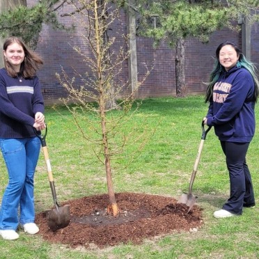 Students planting a tree on campus