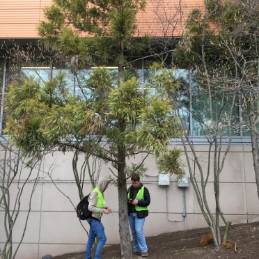 Students study the SSU landscape