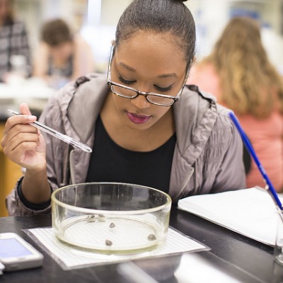 student looking at large petri dish in lab