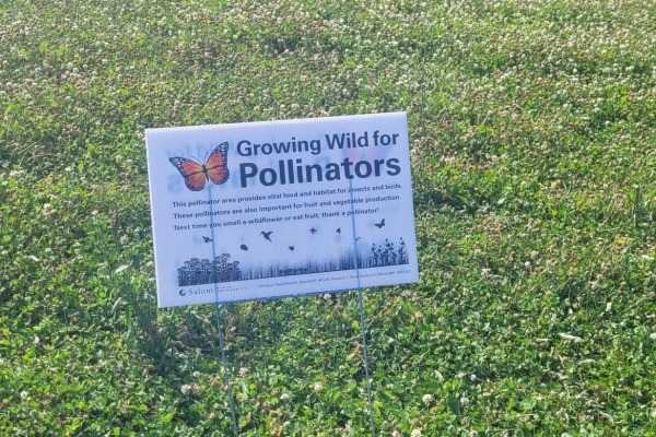 Lawn sign in a low mow area