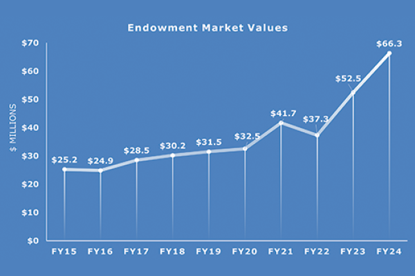 2024 Endowment market values chart, June 30, 2024