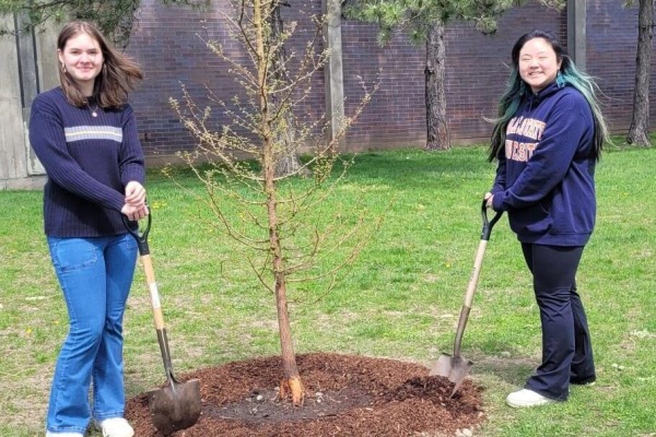 Students planting a tree on campus