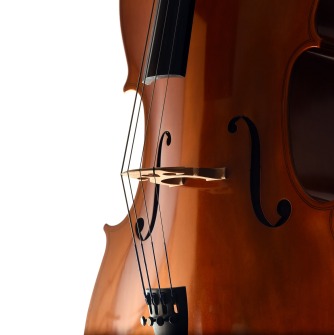 Cello on  a white background